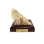 سنگ راف شجر فسیلی (دندریتی ) کد 3551