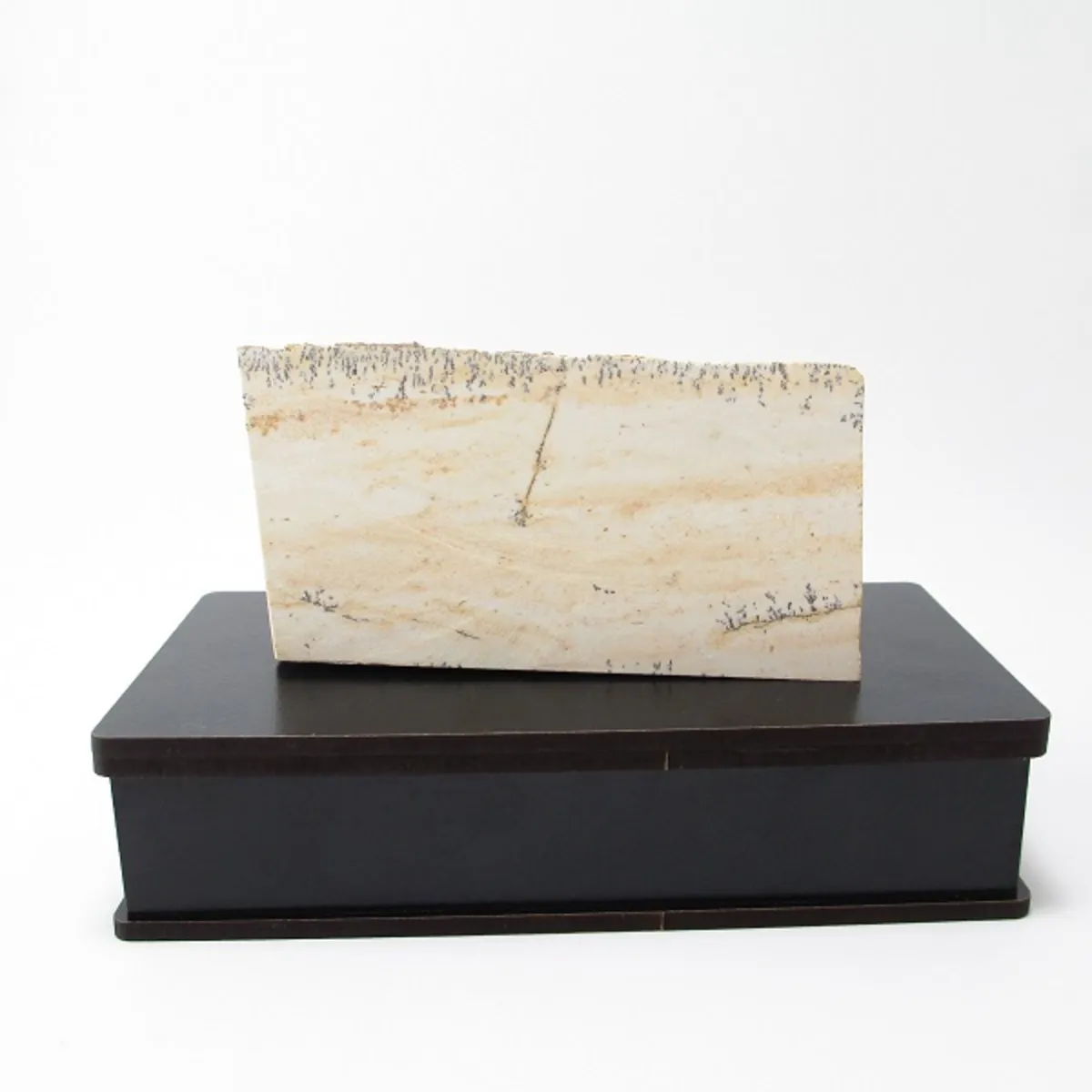 تصویر سنگ شجر فسیلی (دندریتی ) کد 2193 