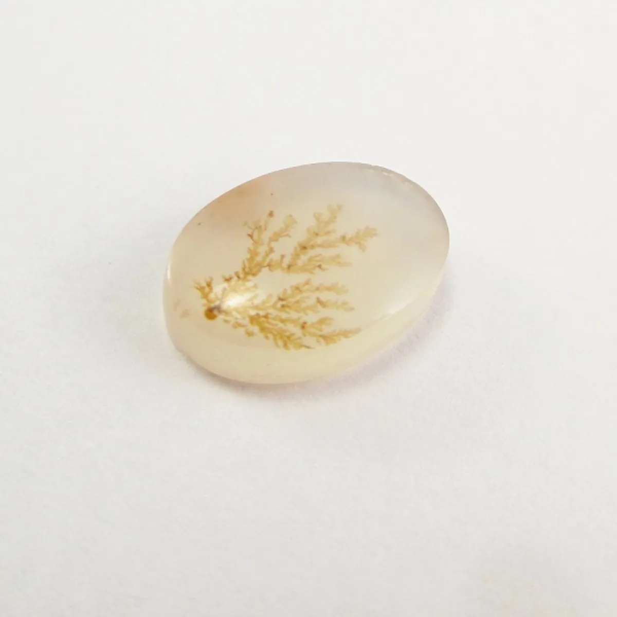 تصویر سنگ شجر کد 3040 