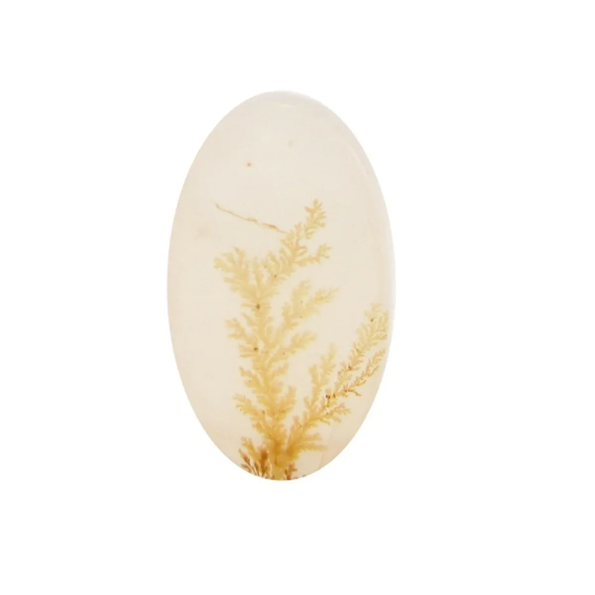 تصویر سنگ شجر کد 3045 