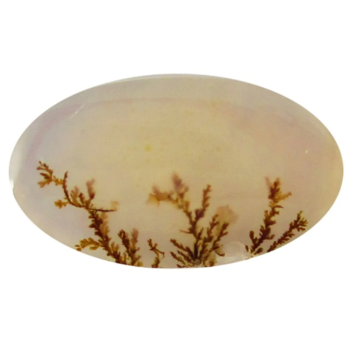 تصویر سنگ شجر پارلا گوهر کد 5132 