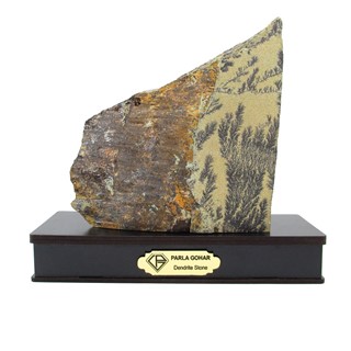 سنگ شجر فسیلی (دندریتی ) کد 2224