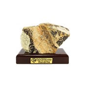 سنگ راف شجر فسیلی (دندریتی ) کد 3353