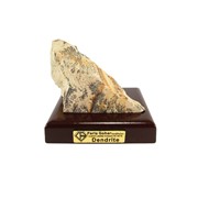 سنگ راف شجر فسیلی (دندریتی ) کد 3551