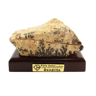 سنگ راف شجر فسیلی (دندریتی ) کد 3611