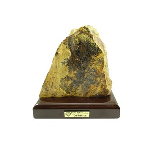 سنگ راف شجر فسیلی (دندریتی ) کد 5322
